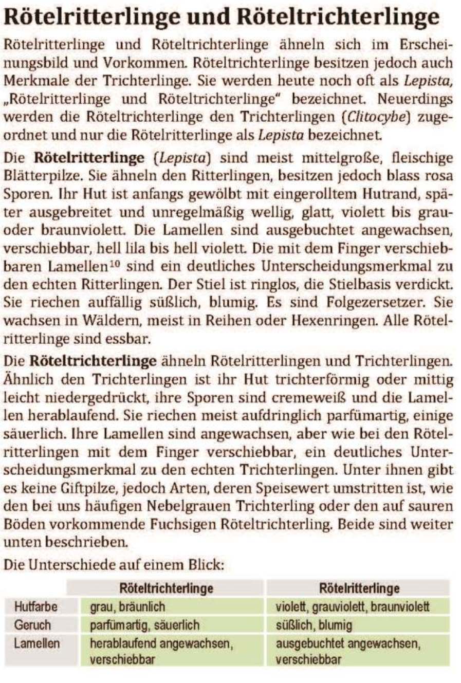 Schwammerl  Umland Rteltrichterlinge Rtelritterlinge