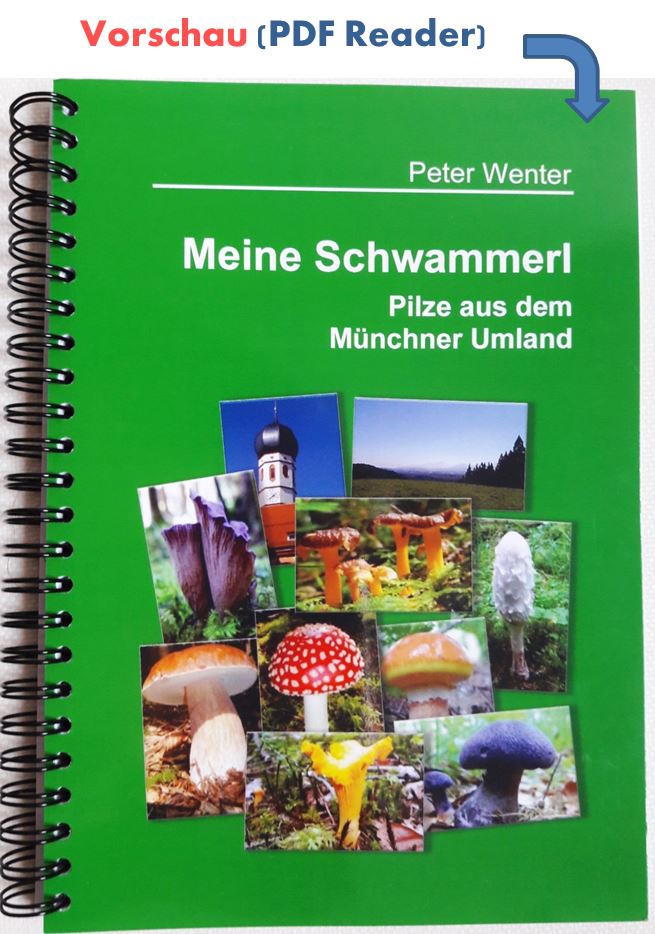 Pilzbuch Schwammerlbuch Mnchen Umland