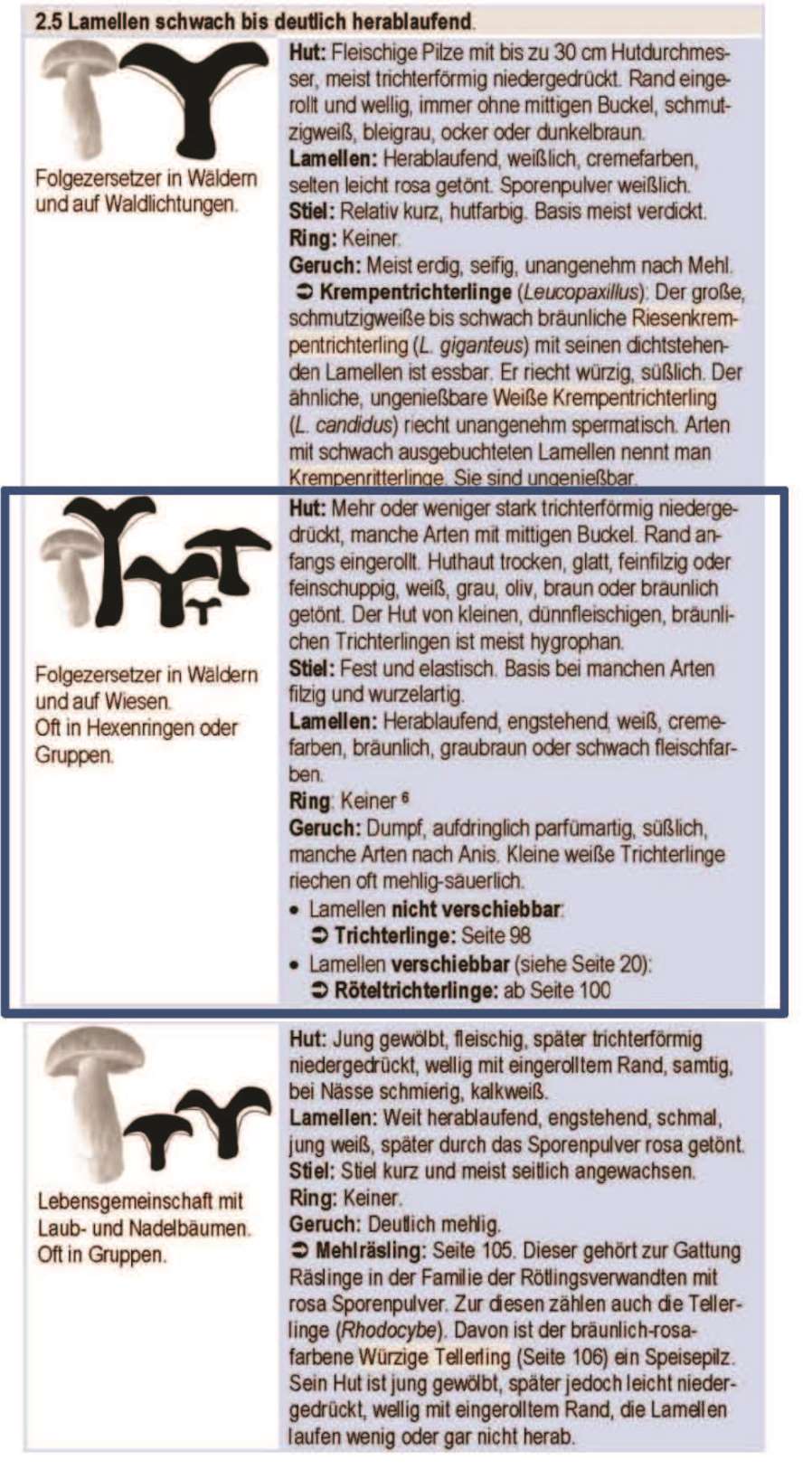 Pilzarten Rteltrichterlinge